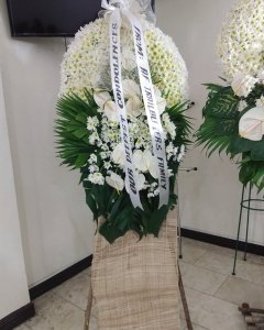 Peace White Sympathy Standing